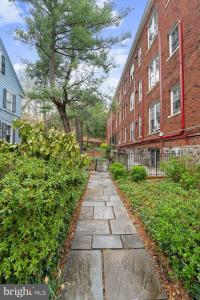 3039 Macomb Street NW Unit# 3A, واشنطن, Washington D.C. 20008, الولايات المتحدة