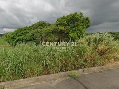 宏林段, 蘆竹區, Taoyuan City 338, Taiwan