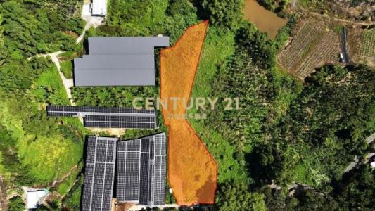 大雁段, Yuchi Township, Nantou County 555, 대만