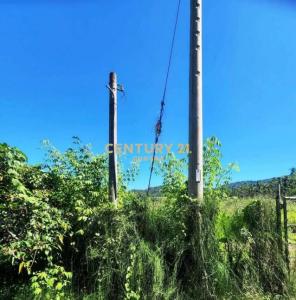 大雁段, Yuchi Township, Nantou County 555, 台湾