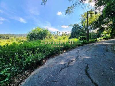 大雁段, Yuchi Township, Nantou County 555, 台湾