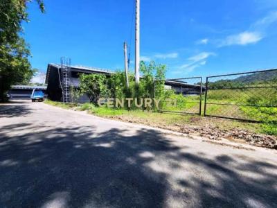 大雁段, Yuchi Township, Nantou County 555, 台湾