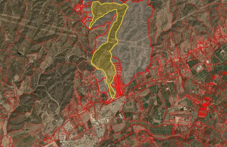 Silves, Faro 8300-025, Bồ Đào Nha