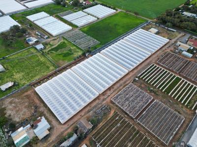 56 Rowland Road, וירג'יניה, SA 5120, אוסטרליה 