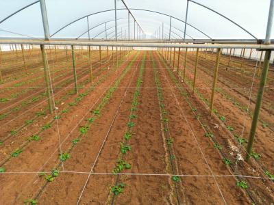 56 Rowland Road, וירג'יניה, SA 5120, אוסטרליה 