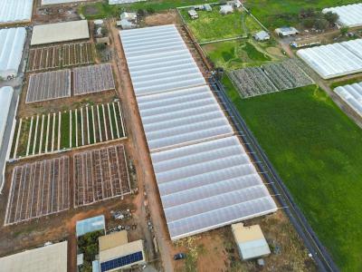 56 Rowland Road, וירג'יניה, SA 5120, אוסטרליה 