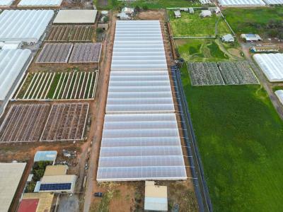 56 Rowland Road, וירג'יניה, SA 5120, אוסטרליה 