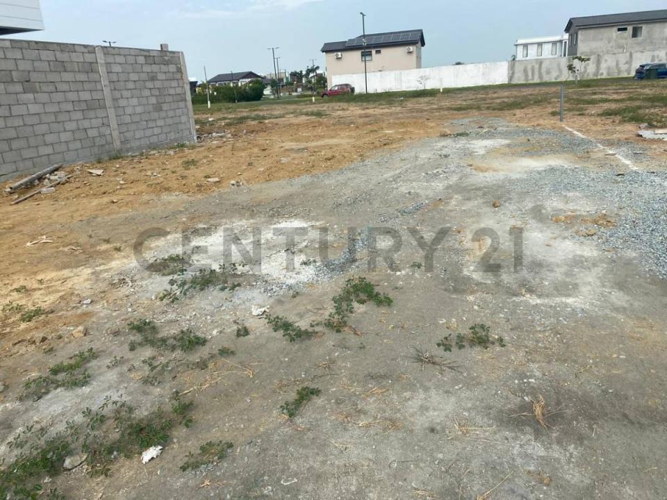 Isla Celeste, Etapa Babor, Mz 6, Solar 8 , Guayaquil, Guayas 00001, Ecuador