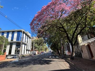 Peru casi Teodoro S. Mongelos , San Roque, Asunción 00001, Paragwaj