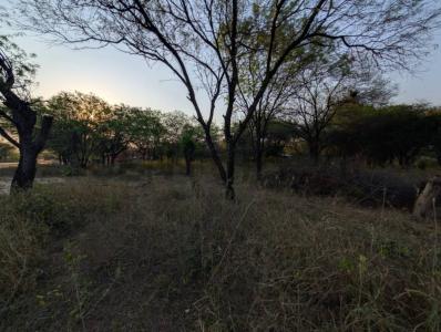 cruce boqueron , Cruce Boquerón, Boquerón 00001, Paraguay