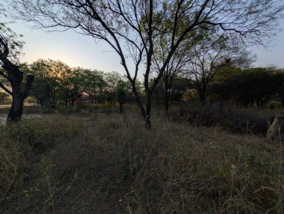 cruce boqueron , Cruce Boquerón, Boquerón 00001, 파라과이