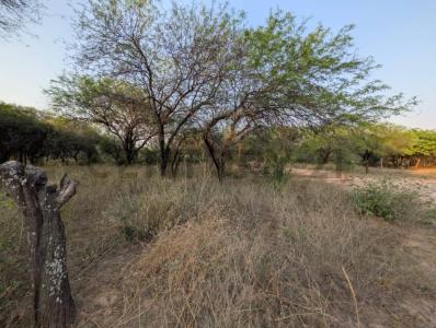 cruce boqueron , Cruce Boquerón, Boquerón 00001, 파라과이