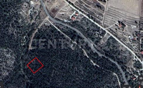 Carretera a Los Lirios S/N,, Arteaga, コアウイラ 25360, メキシコ