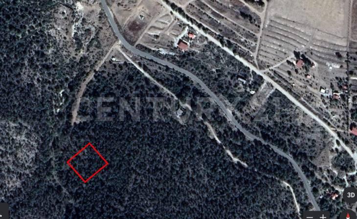 Carretera a Los Lirios S/N,, Arteaga, コアウイラ 25360, メキシコ