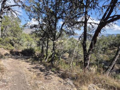 Carretera a Los Lirios S/N,, Arteaga, コアウイラ 25360, メキシコ