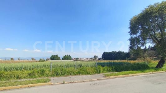 Alamo ,, Metepec, Штат Мехико 52148, Мексика