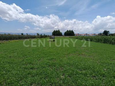 Alamo ,, Metepec, 墨西哥州 52148, 墨西哥