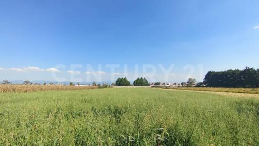 Alamo ,, Metepec, 墨西哥州 52148, 墨西哥