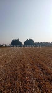 Alamo ,, Metepec, 墨西哥州 52148, 墨西哥