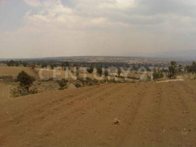 Cuapiaxtla, Tlaxcala 90562, Mexico