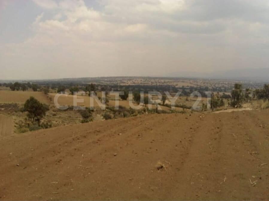 Cuapiaxtla, Tlaxcala 90562, México