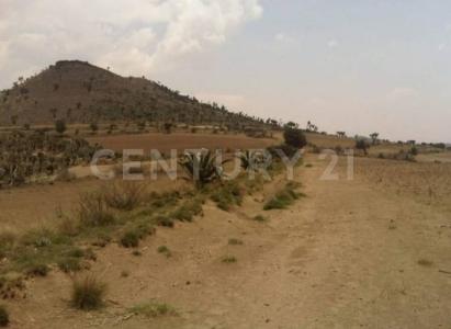 Cuapiaxtla, Tlaxcala 90562, México