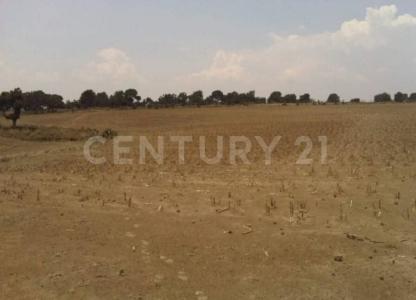 Cuapiaxtla, Tlaxcala 90562, México