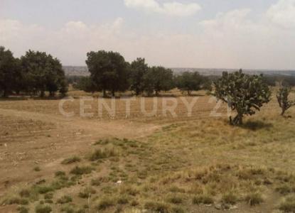 Cuapiaxtla, Tlaxcala 90562, México