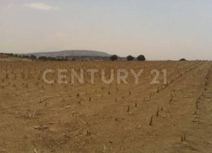 Cuapiaxtla, Tlaxcala 90562, México