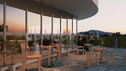 Cancún/Benito Juárez, קינטנה רו 77500, מקסיקו 