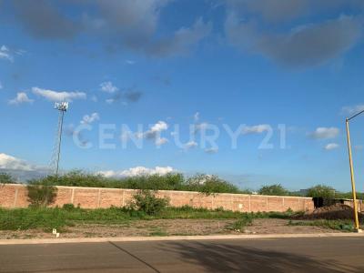 Cajeme, Sonora 85000, Mexique