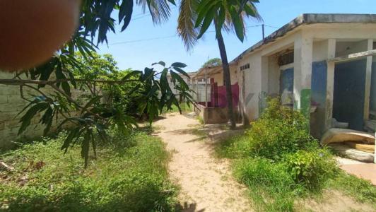 principal quinta zoraida, Porlamar, Nueva Esparta 3601, Venezuela