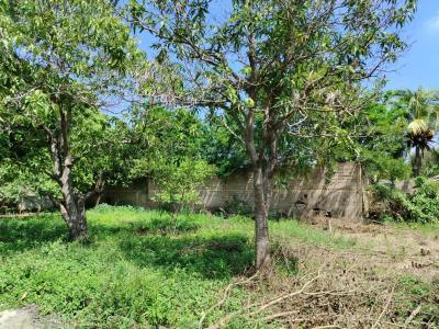 Cumaná, 蘇克雷 6101, 委內瑞拉