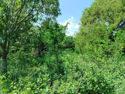 Cumaná, 蘇克雷 6101, 委內瑞拉