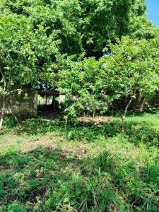 Cumaná, 蘇克雷 6101, 委內瑞拉