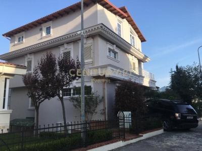 Mjull - Bathore, Tirana, Albania