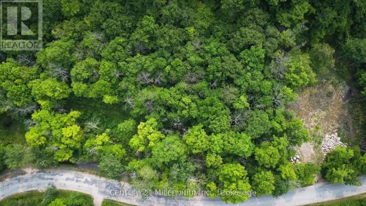 1963 LOT 52 TINY BEACHES ROAD NORTH, Tiny, Ontario L9M 0H8, Canadá