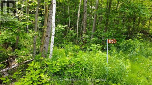 1963 LOT 52 TINY BEACHES ROAD NORTH, Tiny, Ontario L9M 0H8, Canadá