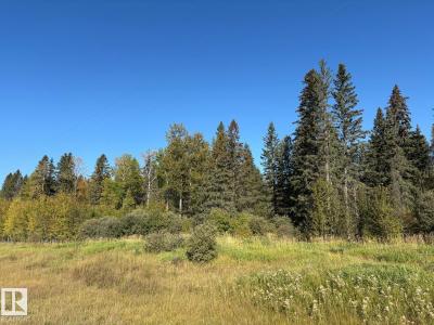 RANGE ROAD 83 TWP RD 482, Rural Brazeau County, Alberta T7A 0C1, Canada