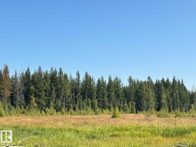 RANGE ROAD 83 TWP RD 482, Rural Brazeau County, Alberta T7A 0C1, Canada