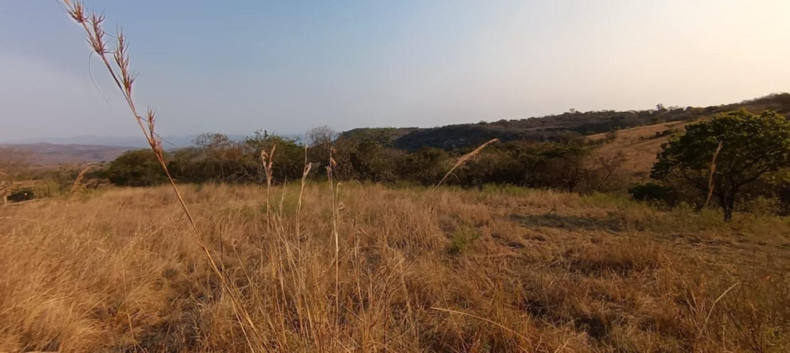 White River, Mpumalanga, Republika Południowej Afryki