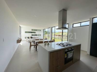 Alvarado, Tolima 730520, Colombie