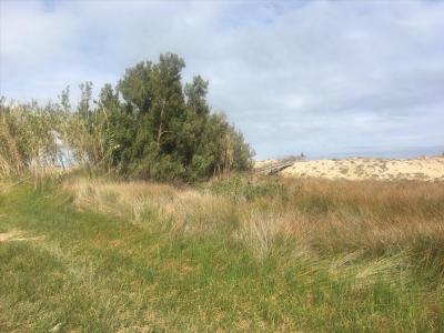 València/Valencia, Comunitat Valenciana 46408, Spain