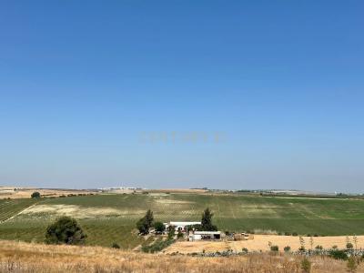 Sevilla, Andalucía 41006, Spain