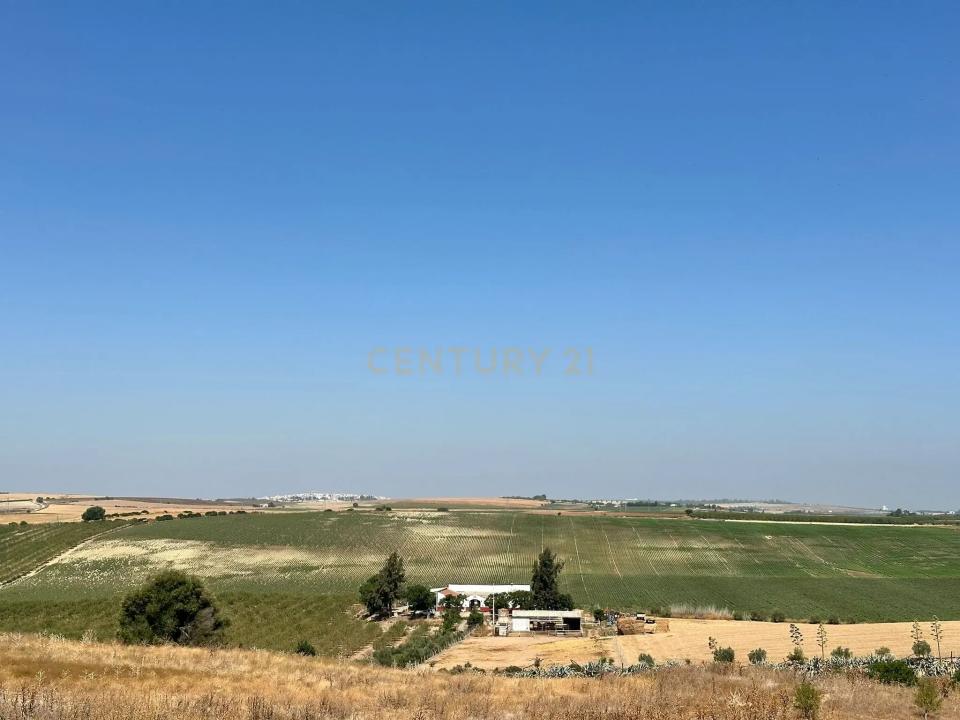 Sevilla, Andalucía 41006, Spanien