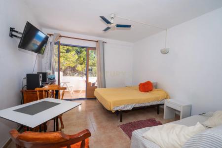 Ibiza / Eivissa, Illes Balears 07810, 西班牙