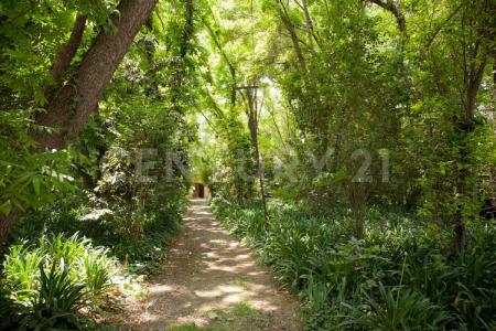 Hidalgo 62,, Tepeji Del Río De Ocampo, Hidalgo 42851, Mexique