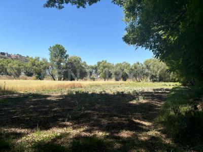 Hidalgo 62,, Tepeji Del Río De Ocampo, Hidalgo 42851, Mexique