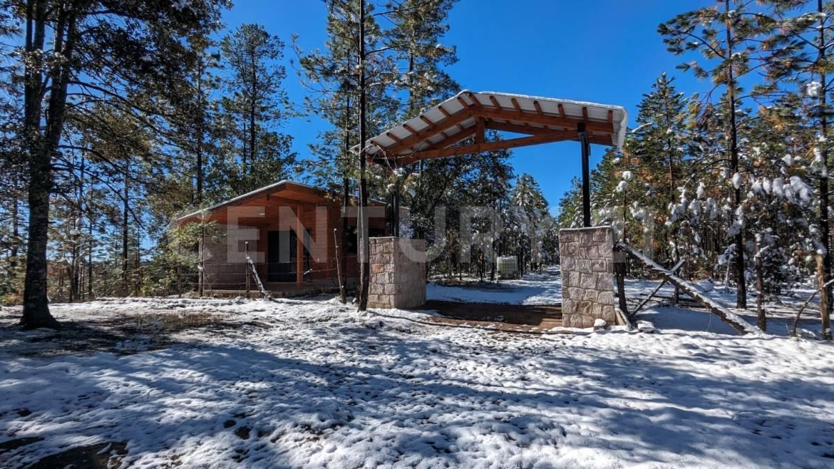 San isidro s/n 34950 El Salto, Dgo. México 262,, Pueblo Nuevo, Durango 34950, Mexico