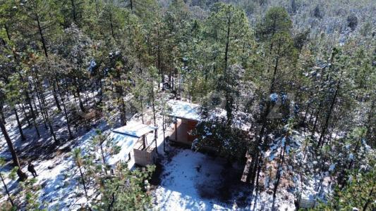 San isidro s/n 34950 El Salto, Dgo. México 262,, Pueblo Nuevo, Durango 34950, Mexico